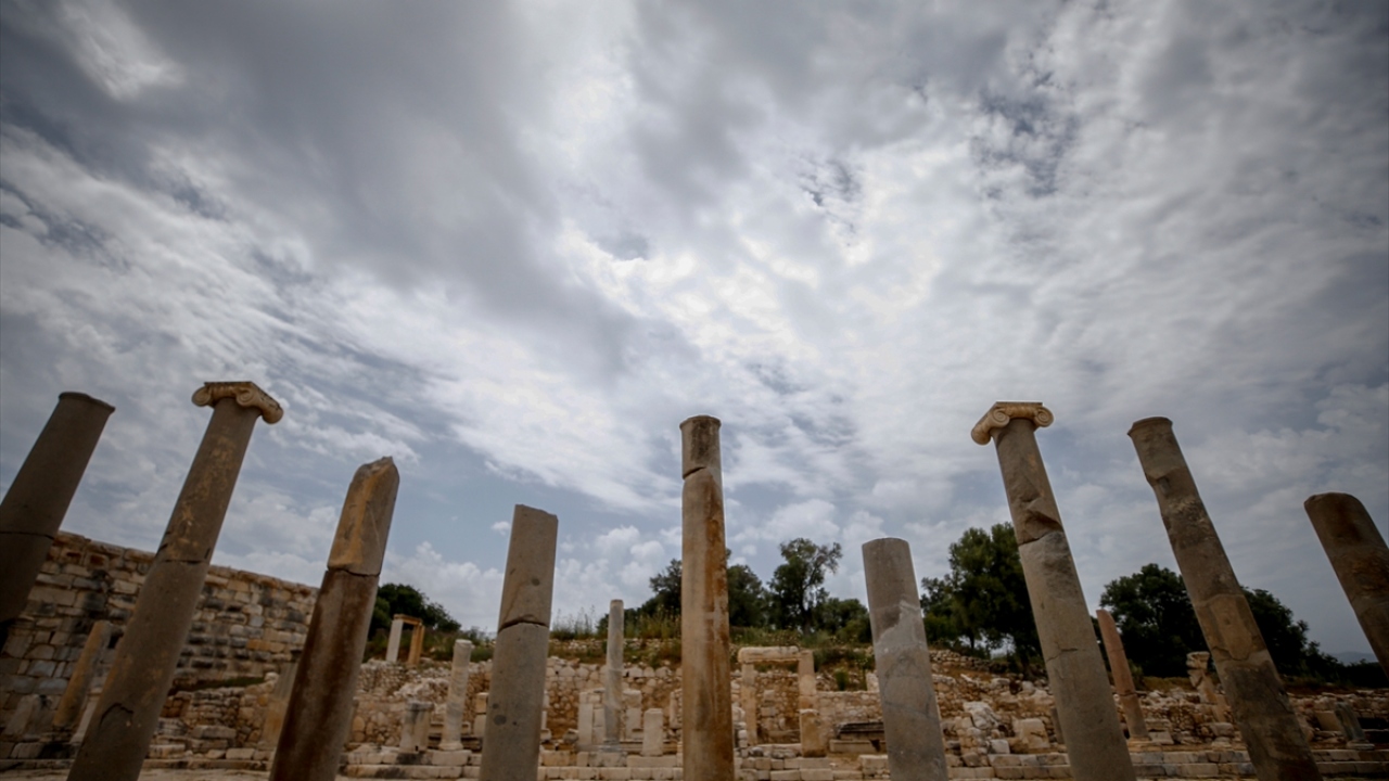 Kazı alanında sütunlu yol da yer alıyor.