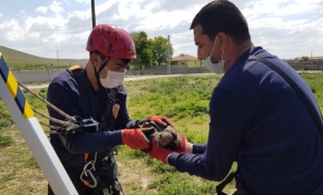 Su kuyusuna atılan köpek yavrularını itfaiye kurtardı