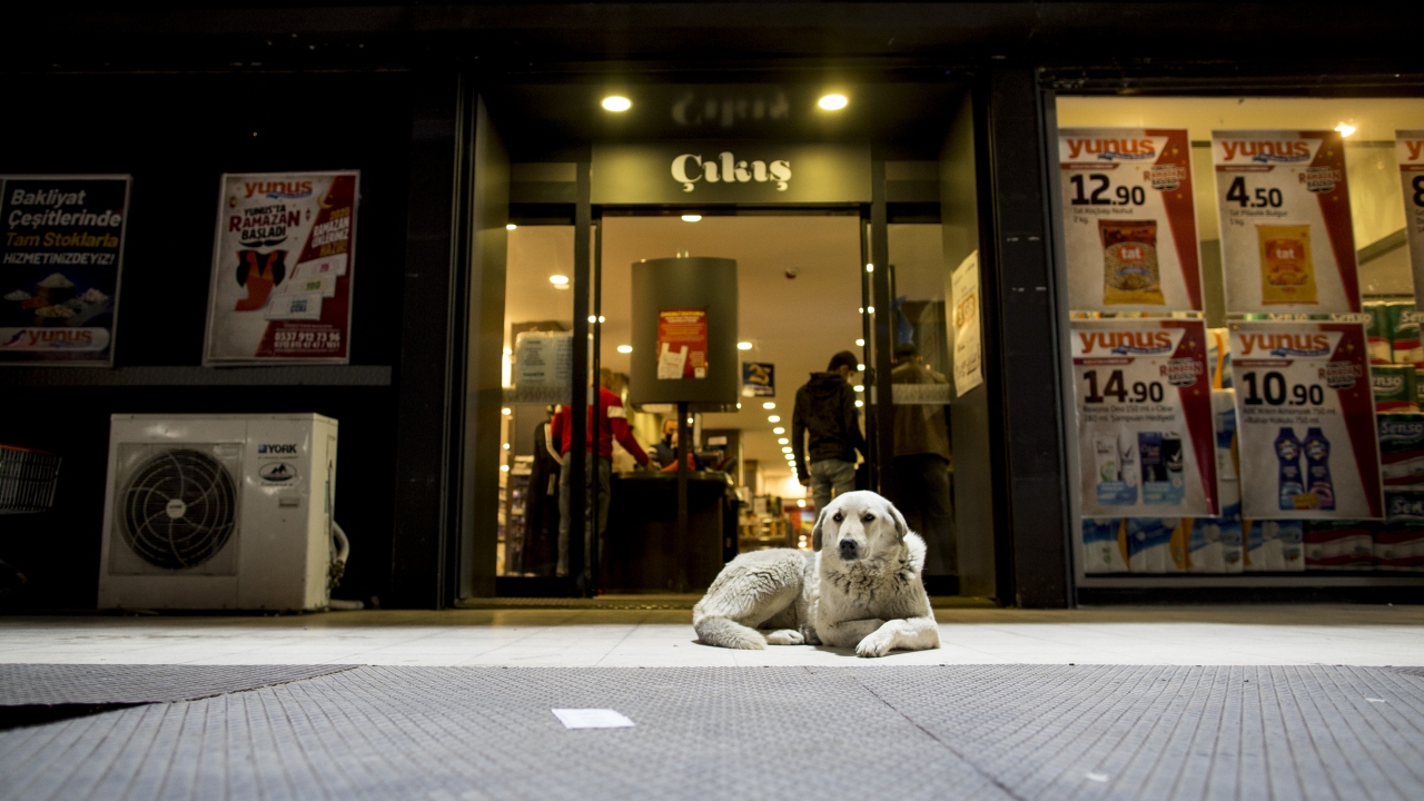 Nereler açık olacak?