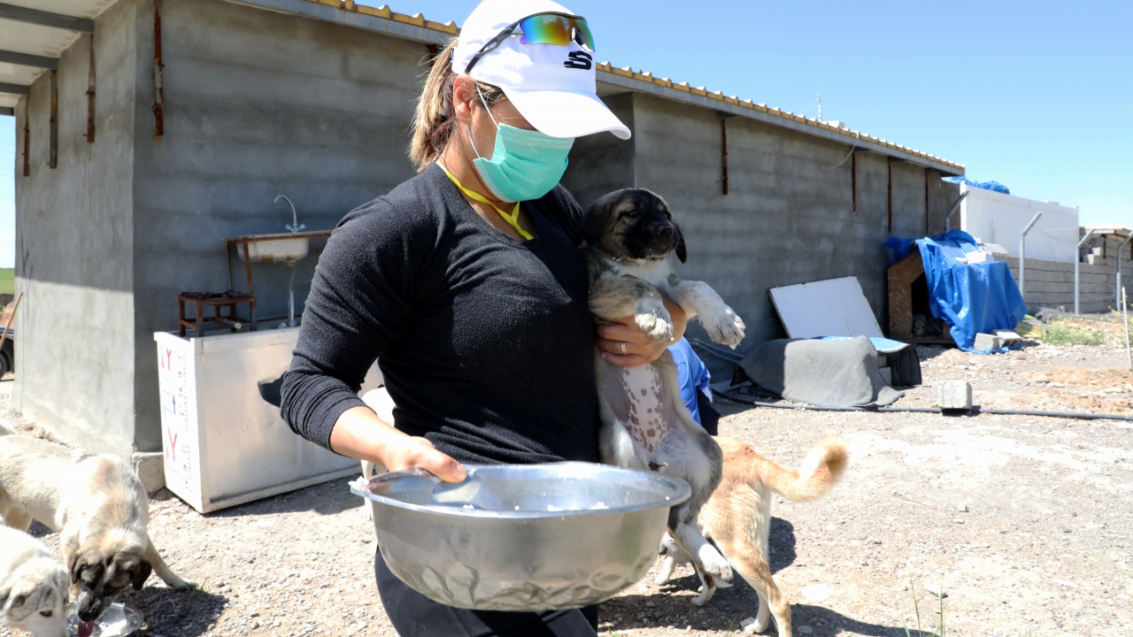 Nereler açık olacak?