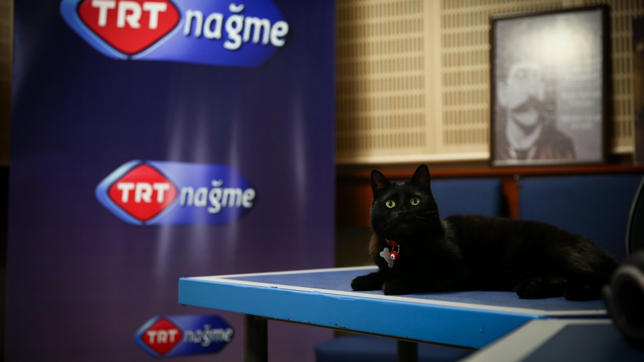 Nereler açık olacak?