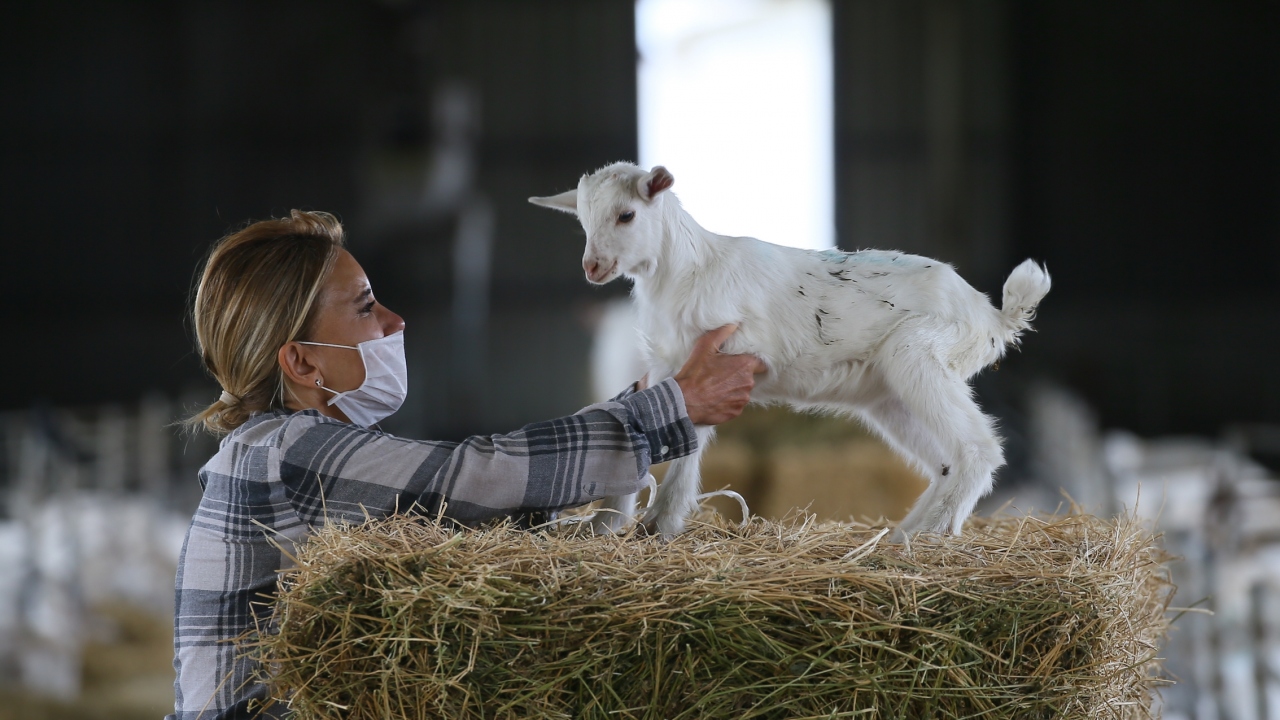 Kimler istisna kapsamında?