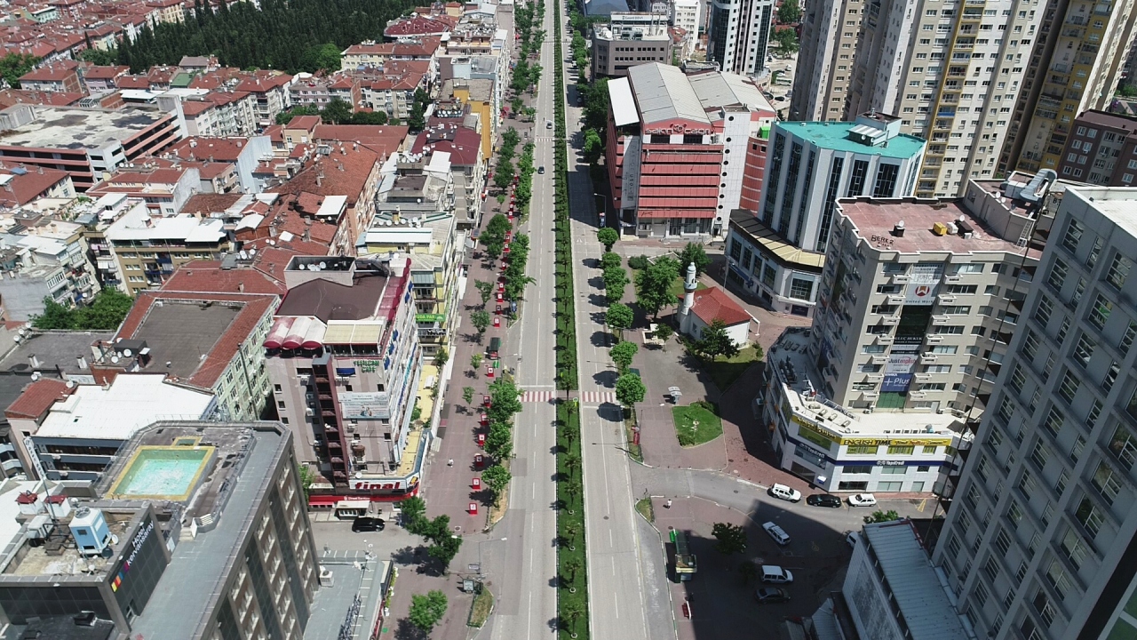 Bursa