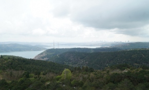 İstanbul'un yaklaşık yüzde 45'i orman