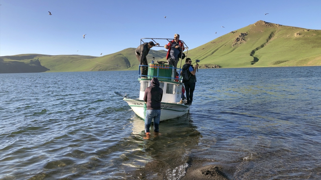 Adada 5137 Doğa ve Spor Kulübünce (5137-ADAK) sürdürülen keşif çalışmasına katılan Anadolu Ajansı (AA) ekibi, martı yavrularının yumurtadan çıkma anını görüntüledi. 