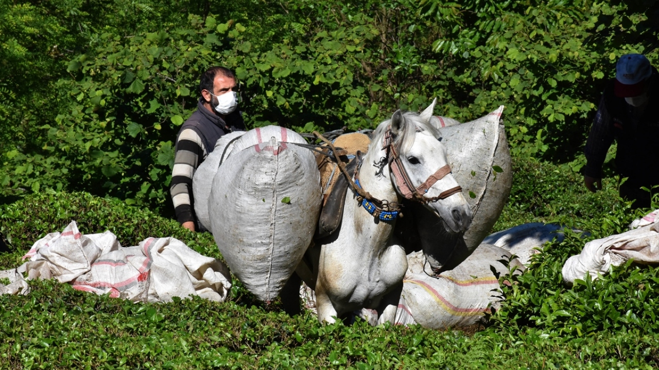 Ortatepe Mahallesi`nde ikamet eden vatandaşlar, Covid-19 nedeniyle maske ve eldiven kullanımı ile sosyal mesafe kurallarına dikkat ediyor.