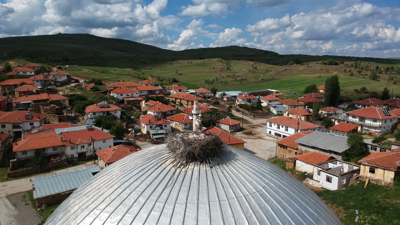 Çubuk ilçesinin en eski mahallelerinden Tahtayazı`da, leylekler her yıl cami kubbesindeki evlerine dönüyor.