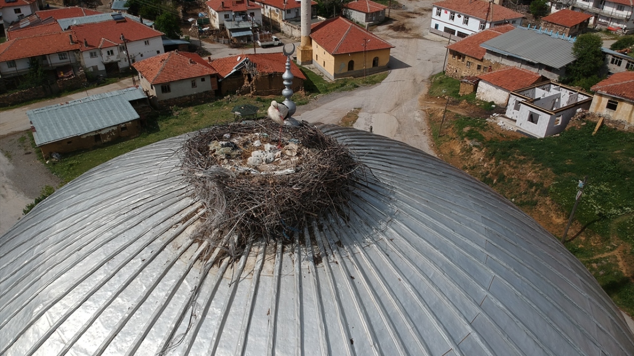 Daha önce eski caminin çatışındaki leylek yuvası yıllar önce yeni cami yapılınca mahalle sakinleri tarafından yeni caminin kubbesine taşındı.