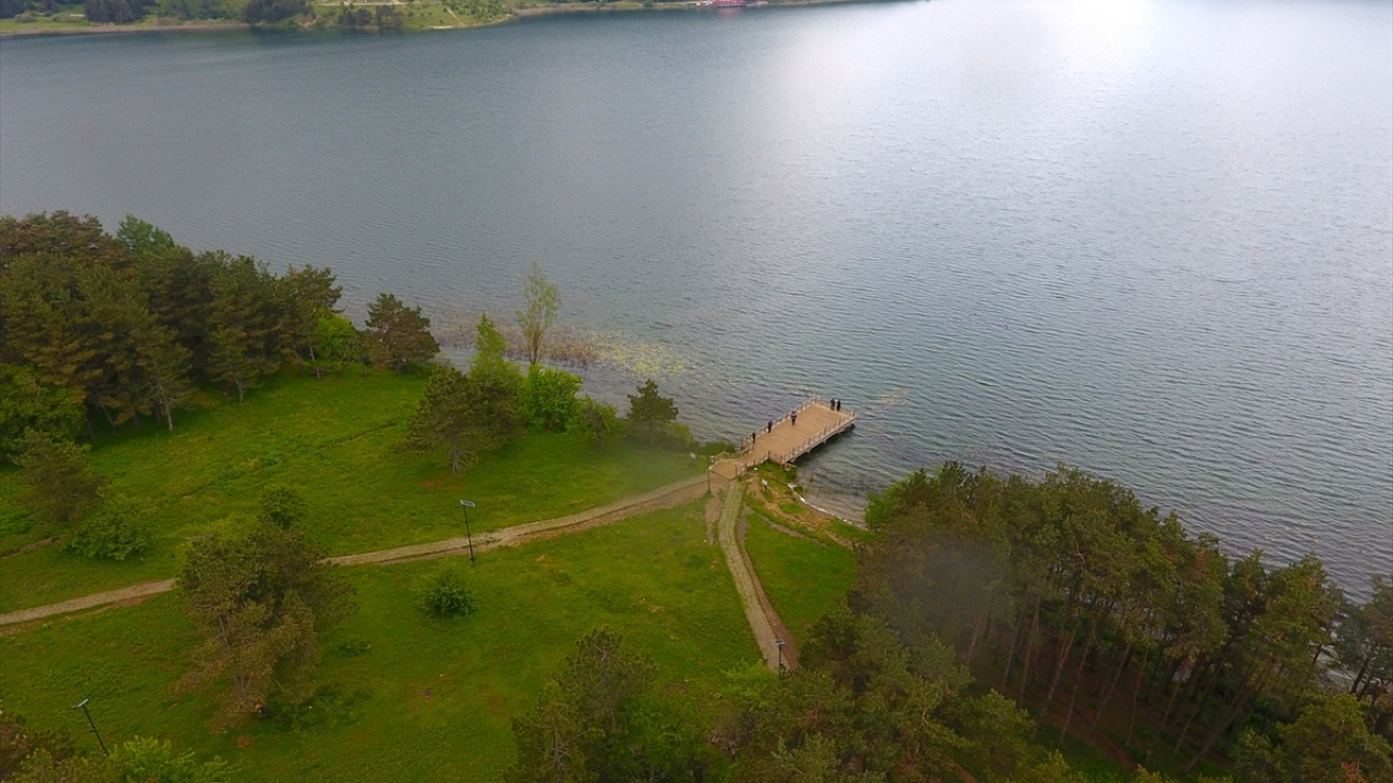 "Bu salgın bunu gerektiriyor"