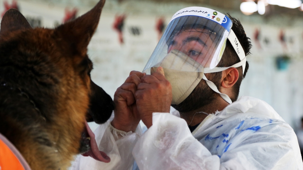 İskenderi, masrafların ve maliyetin karşılanması halinde hem İran’da hem de yurt dışında hizmet vermeye hazır olduklarını sözlerine ekledi.