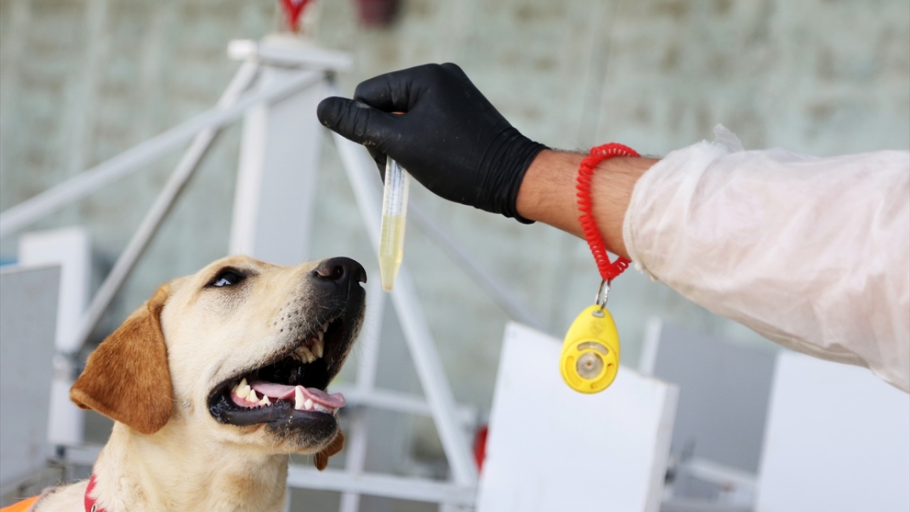 Kenarudi, talep edilmesi halinde diğer ülkelere de eğitim konusunda destek olabileceklerini söyledi.