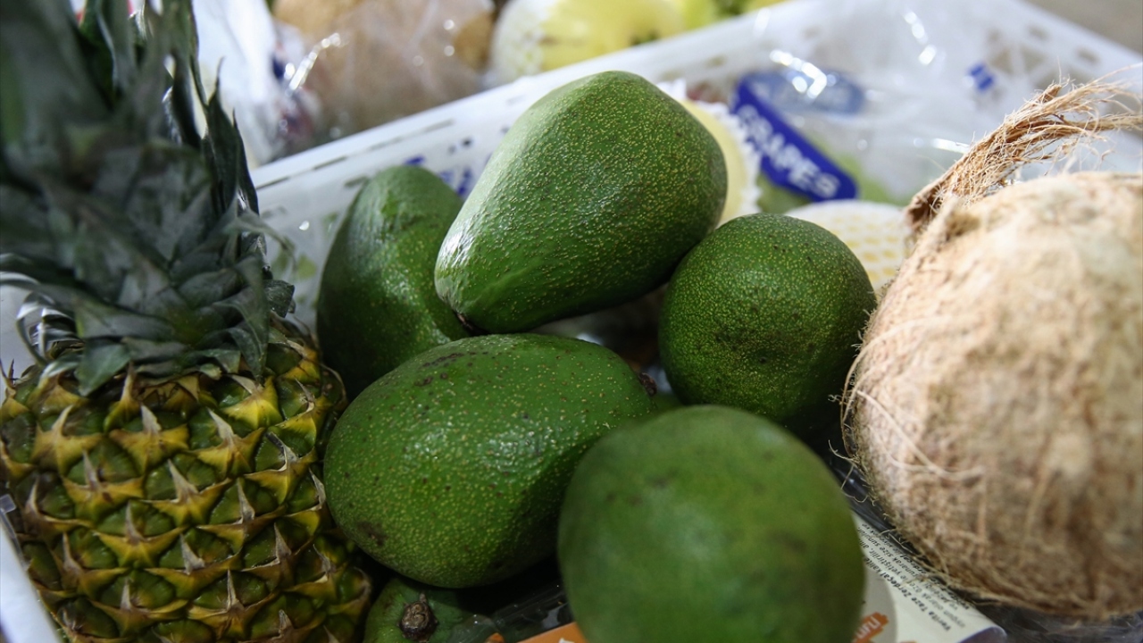 "Antalya tropikal meyvelerin üssü olabilir"