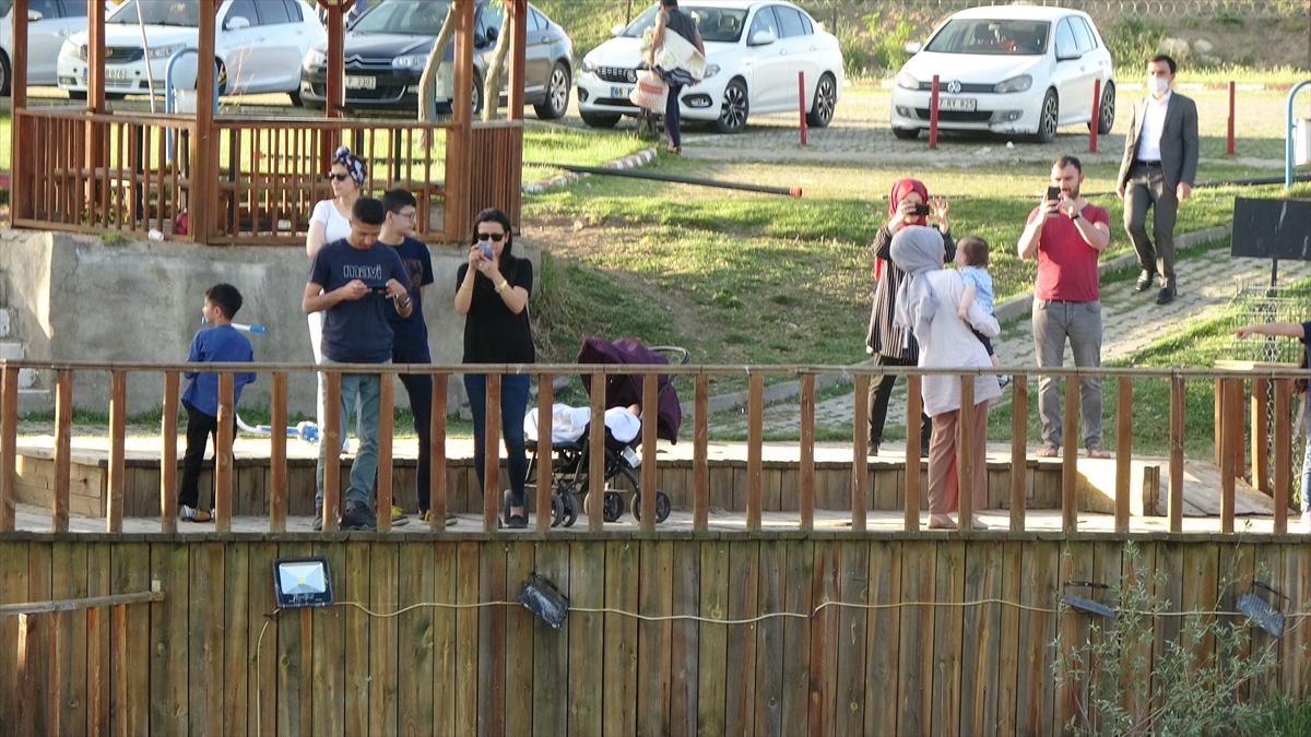 Bazı vatandaşlar, balıkların nesillerini sürdürebilmek için verdiği mücadeleyi fotoğraf makineleri ve kameralarla kayıt altına aldı.