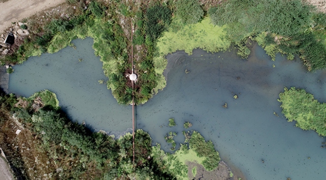 Fabrika atıkları Teke Deresi'nin rengini değiştirdi