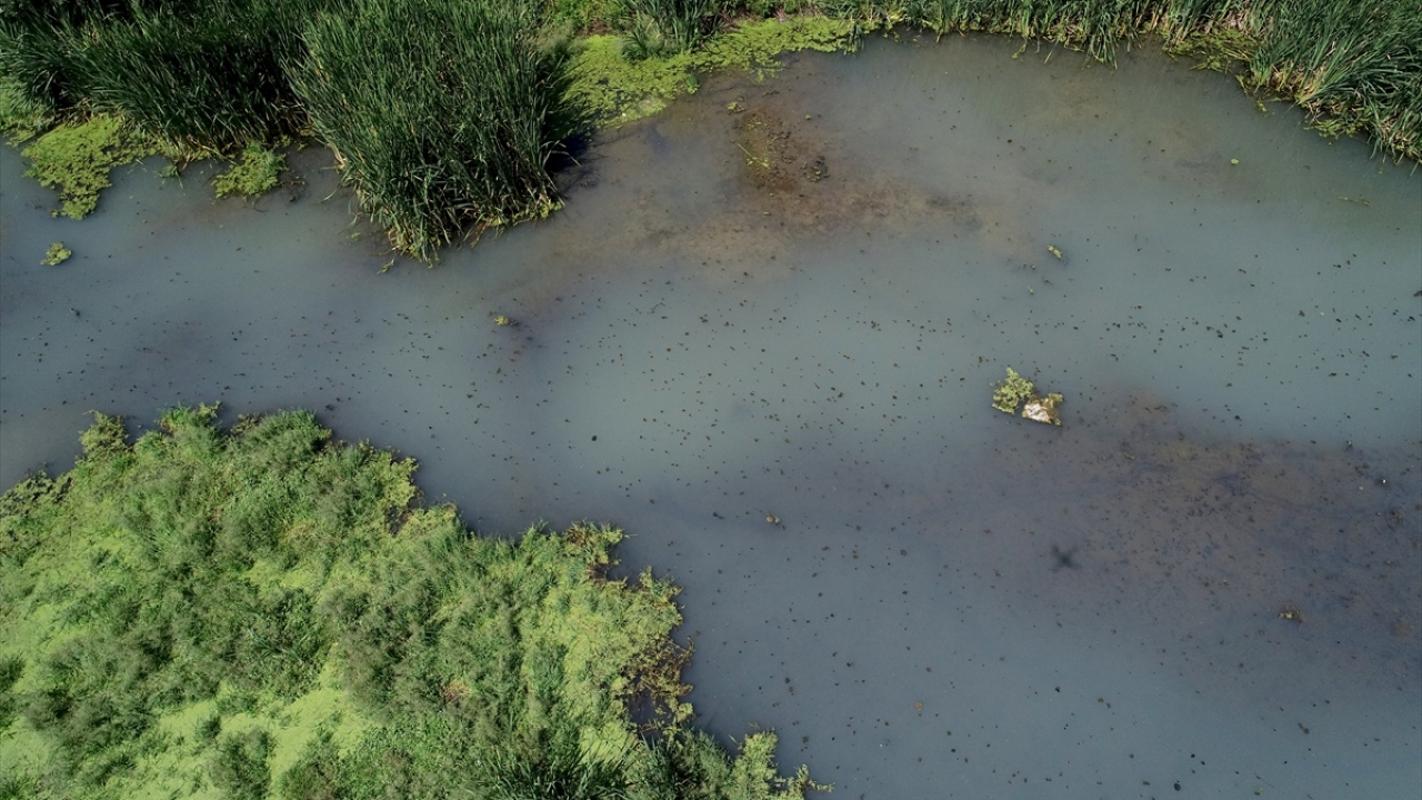 Köyün muhtarı Adem Balsak, AA muhabirine, derede artık hiç bir canlının yaşayamadığını, bu durumdan büyük üzüntü duyduklarını söyledi. 