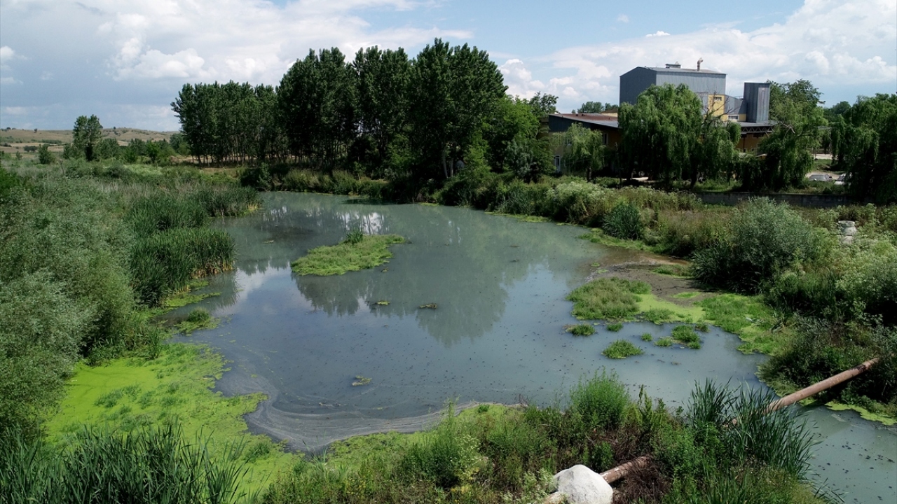 Belirli zamanlarda çevredeki fabrikaların atıkları nedeniyle gri ve beyaz renkte akan derenin suyunun tarım arazilerinin sulanmasında da kullanılmadığını anlatan Balsak, yetkililerden yardım istedi. 
