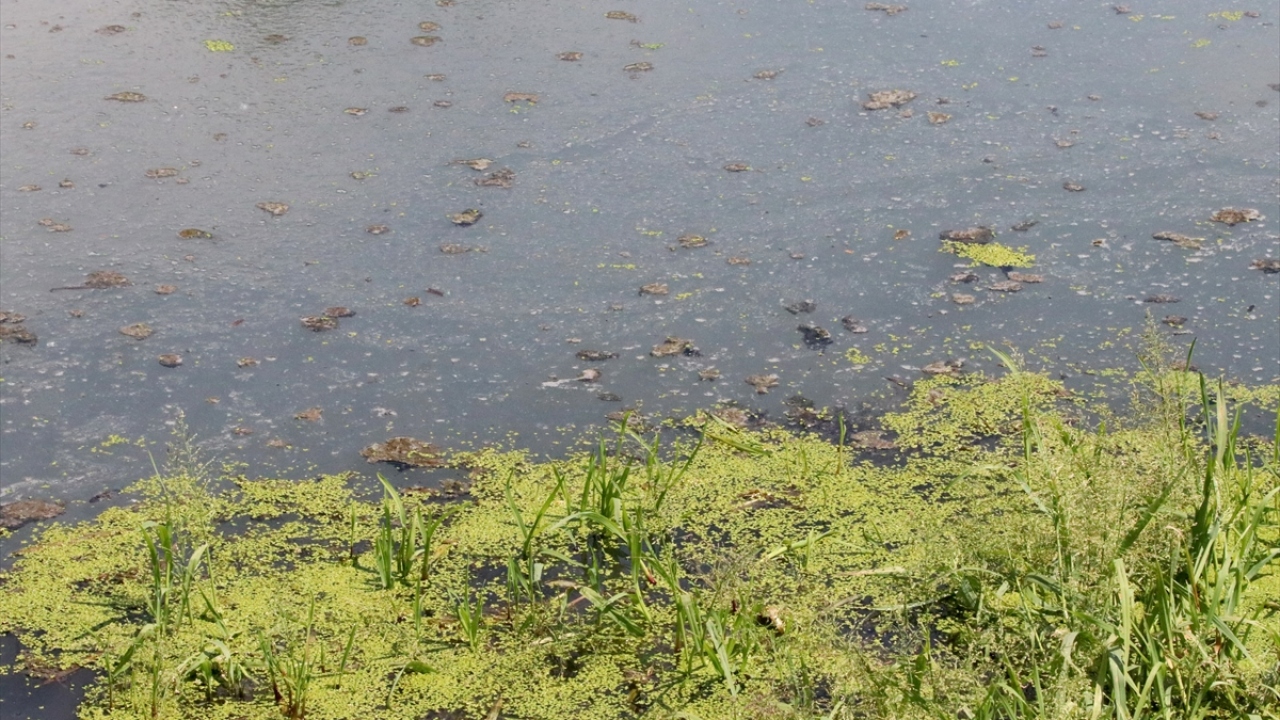 Köy sakinlerinden Mehmet Üresin ise 10 yıl öncesine kadar su içtikleri derenin eski haline kavuşturulmasını istedi.