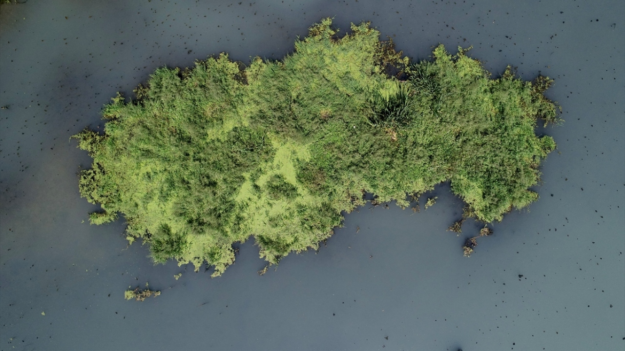 Kırklareli Çevre ve Şehircilik Müdürlüğü ekiplerinin deredeki incelemesi sürüyor.