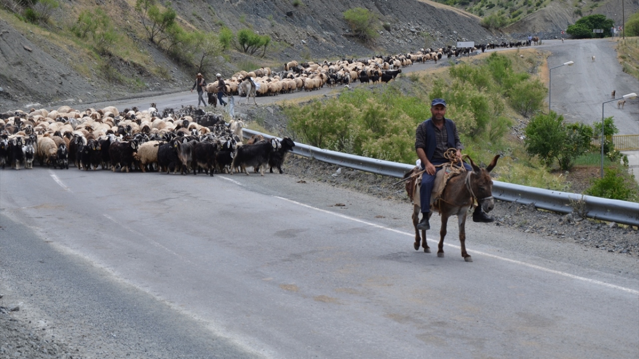 2 bin koyunuyla Mardin`den Muş`a gelen Hasan Erden de günde 2 kez koyunları sağarak elde ettikleri sütü mandıraya sattıklarını ifade etti.