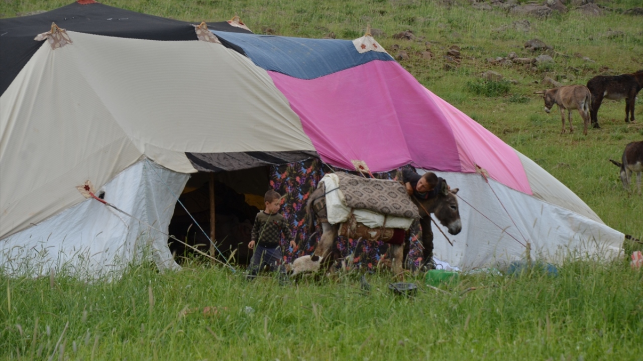 Muş`ta da bu sayede hayvan varlığının devletin sağladığı desteklerle 1 milyon 350 bine yükseldiğini aktaran Salkım, şunları kaydetti: