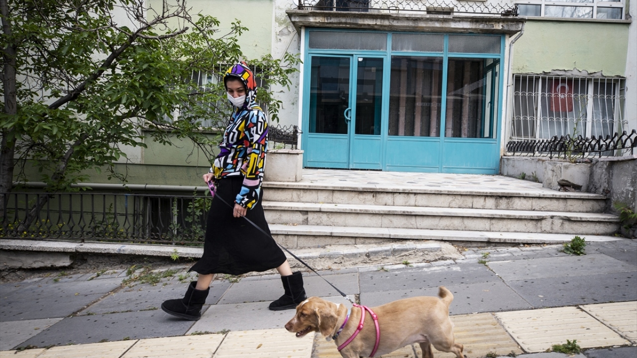 Bazı vatandaşlar, evcil hayvanlarını gezdirdi.