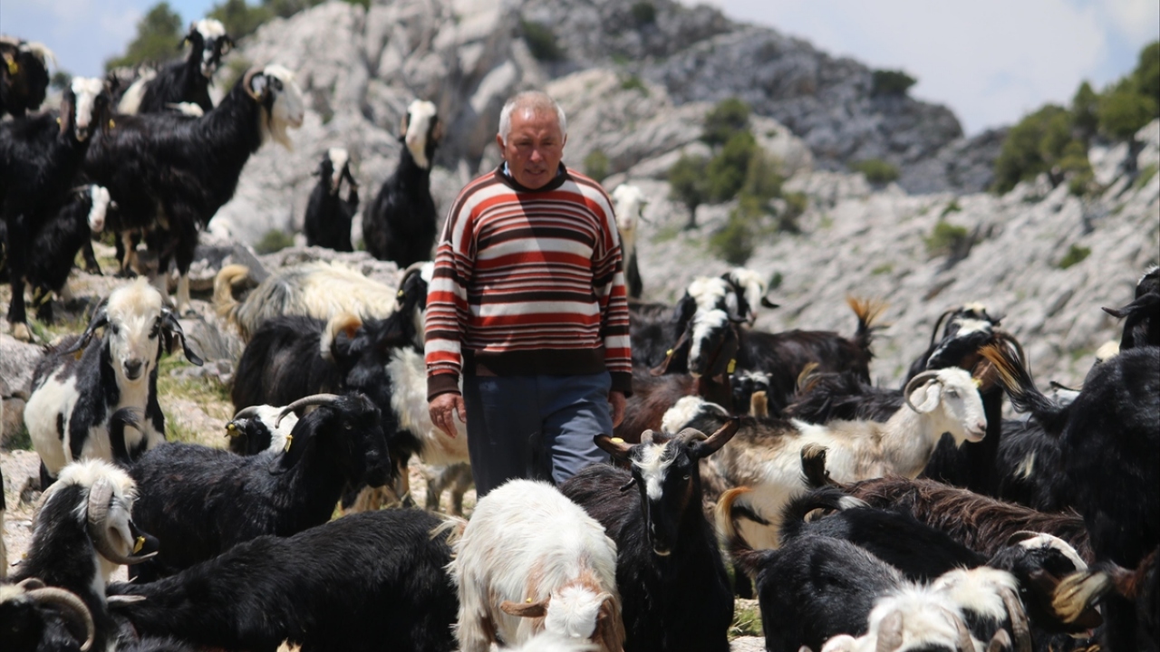 Uslu, doğayı koruduklarını, bitki örtüsüne zarar vermemeye çalıştıklarını vurgulayarak