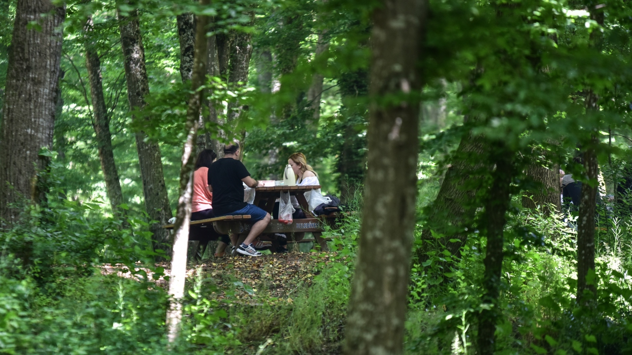 İstanbul- Belgrad Ormanı