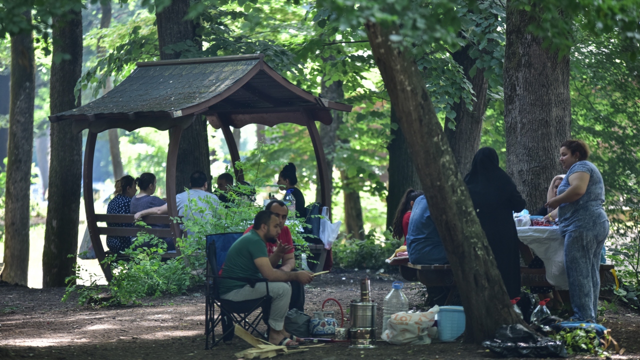 İstanbul- Belgrad Ormanı