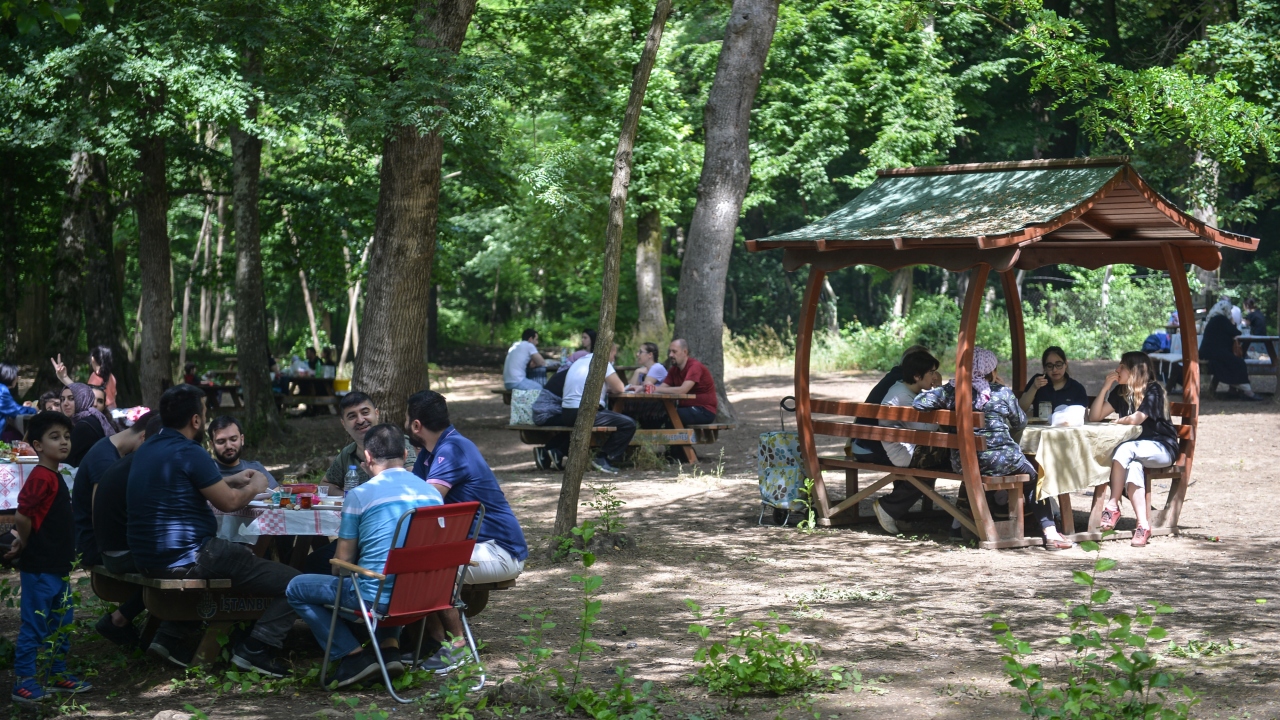 İstanbul- Belgrad Ormanı