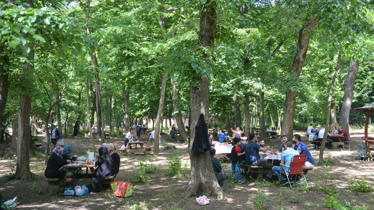 İstanbul- Belgrad Ormanı