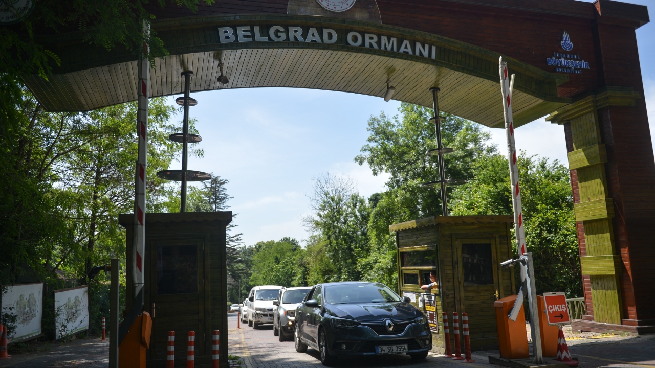 İstanbul- Belgrad Ormanı