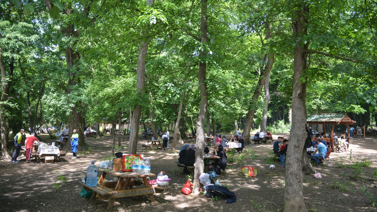 İstanbul- Belgrad Ormanı