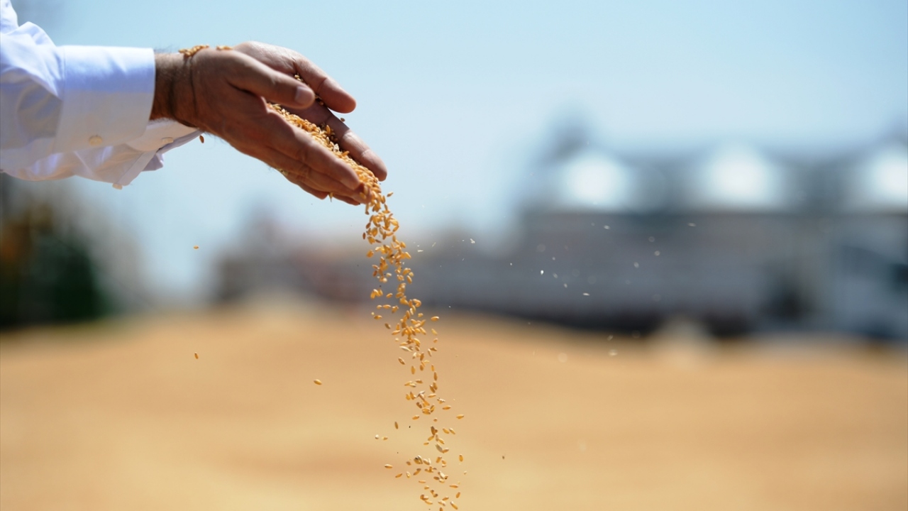 Öter, Mardin`in Türkiye`deki bulgur üretiminin yaklaşık yüzde 25`ini, ihracatının ise yüzde 35`ini tek başına gerçekleştirdiğini sözlerine ekledi.