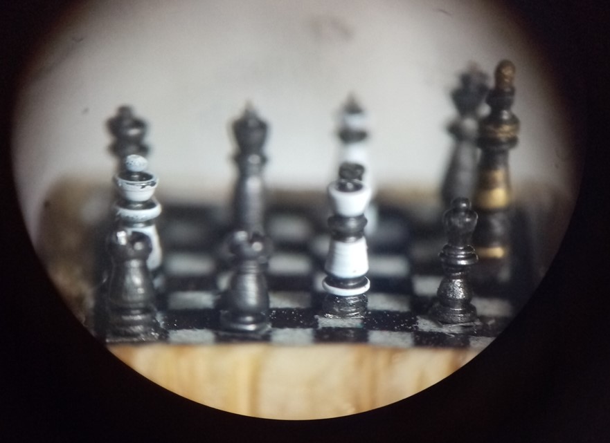 Ayrıntıları sadece mikroskopla görülebilen ve özel çubuklarla oynanabilen satranç takımı, görenlerin ilgisini çekiyor.