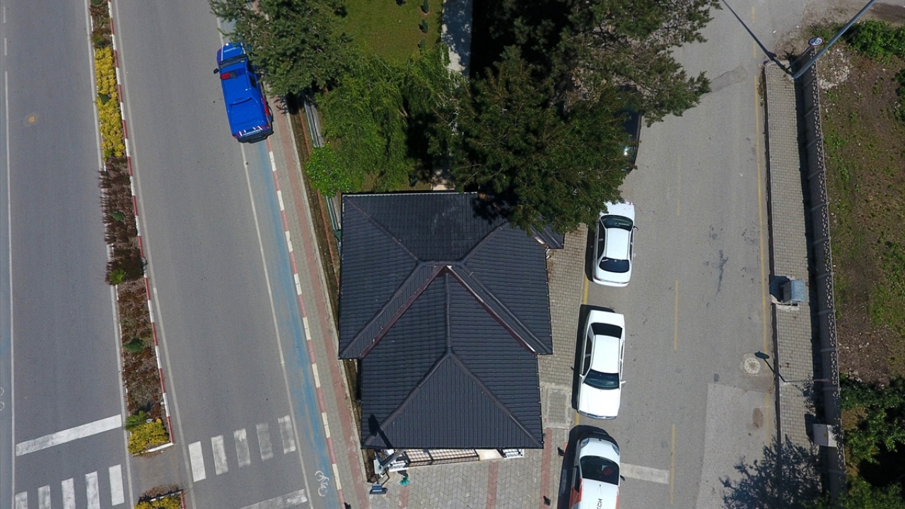 "Ağacın kesilmesine gönlümüz razı olmadı"