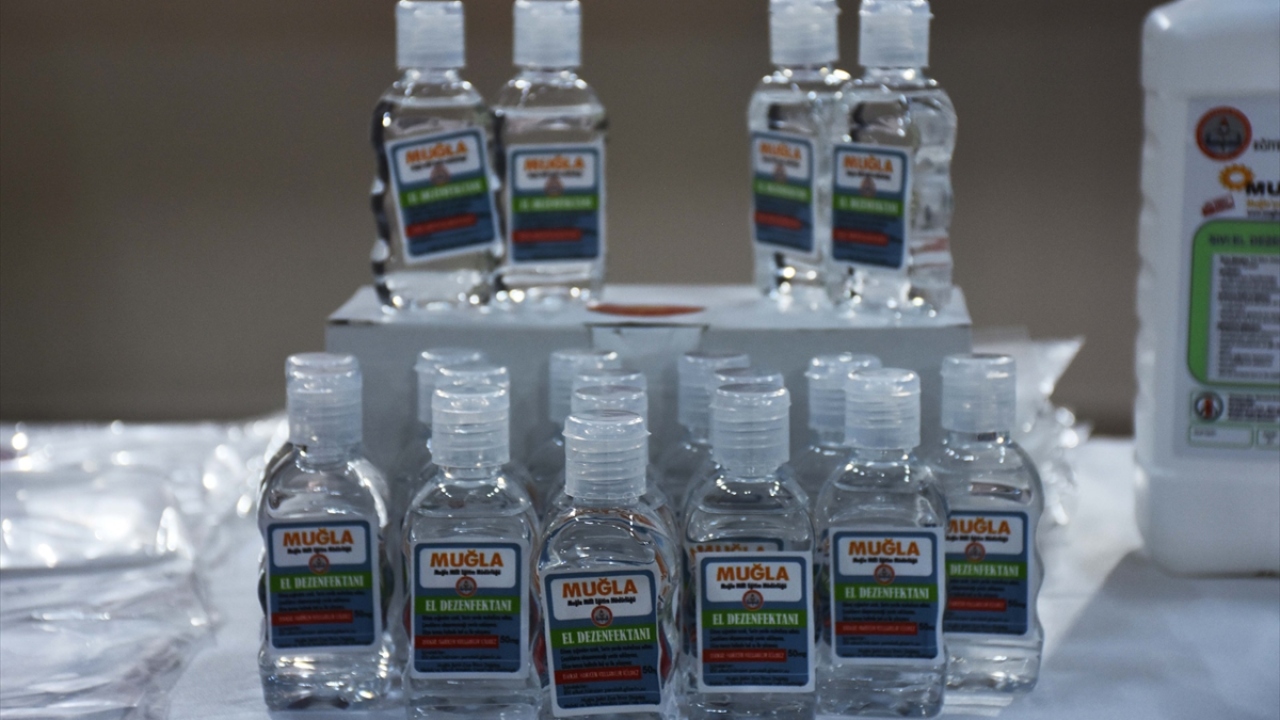 Okullarda hijyen eylem planı hazırladıklarına değinen Töre, okullarda görev yapacak tüm yardımcı personelin 8 saatlik kursa katılıp hijyen eğitimi aldığını bildirdi.