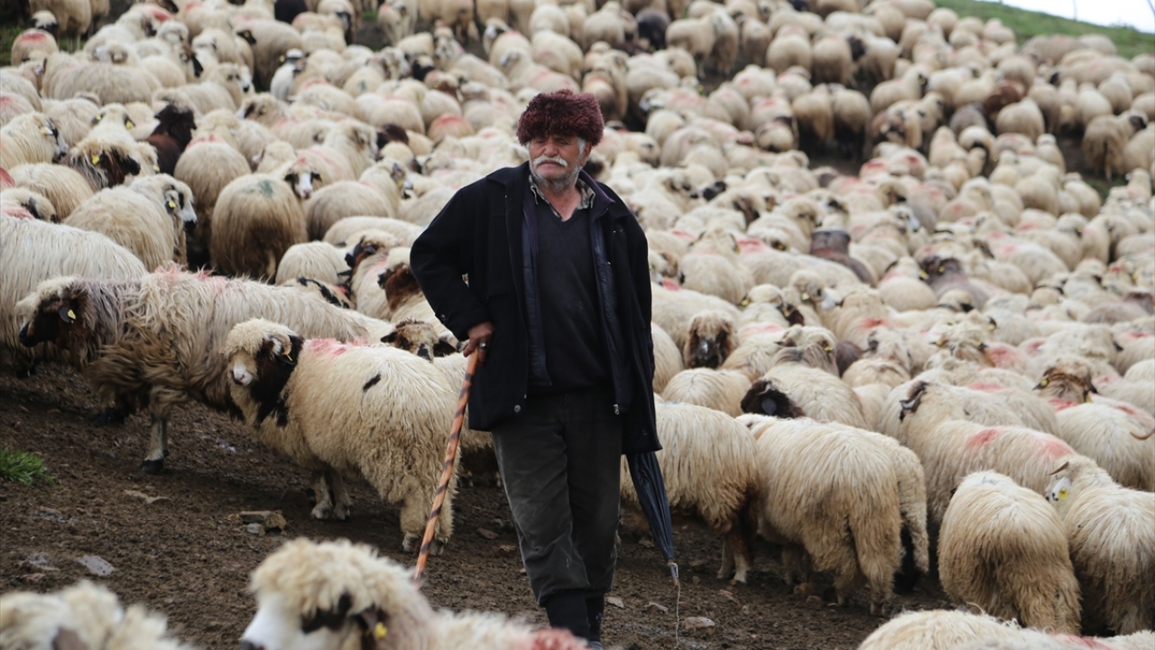 Askerlik dışında hayatının önemli kısmını yaylalarda çobanlık yaparak geçiren Okutan, çok sevdiği bu mesleği sayesinde çocuklarını okuttu, ailesinin geçimini sağlayıp mal mülk sahibi oldu.  