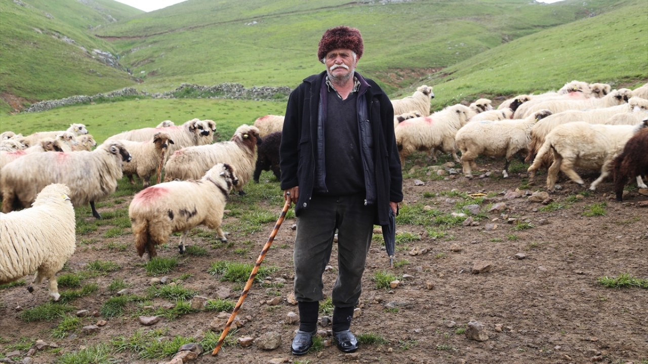 Yaklaşık bin 500 koyunu meralarda idare edebilen Okutan, kış ayına kadar koyunların başında kalacak.