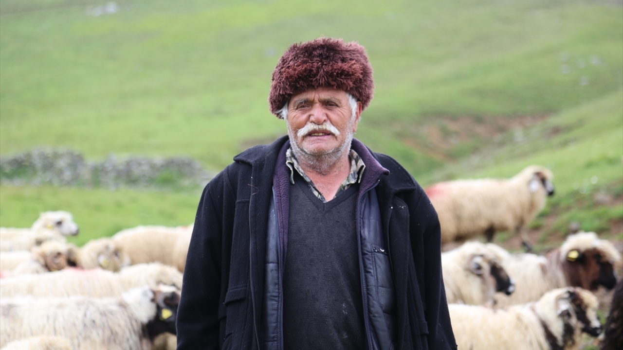Okutan, yaptığı açıklamada, 35 torunu olduğunu, çobanlığa ailesinin aracılığı ile başladığını belirterek, çocuk yaşında başladığı çobanlığı aradan uzun yıllar geçmesine rağmen bırakamadığını söyledi.