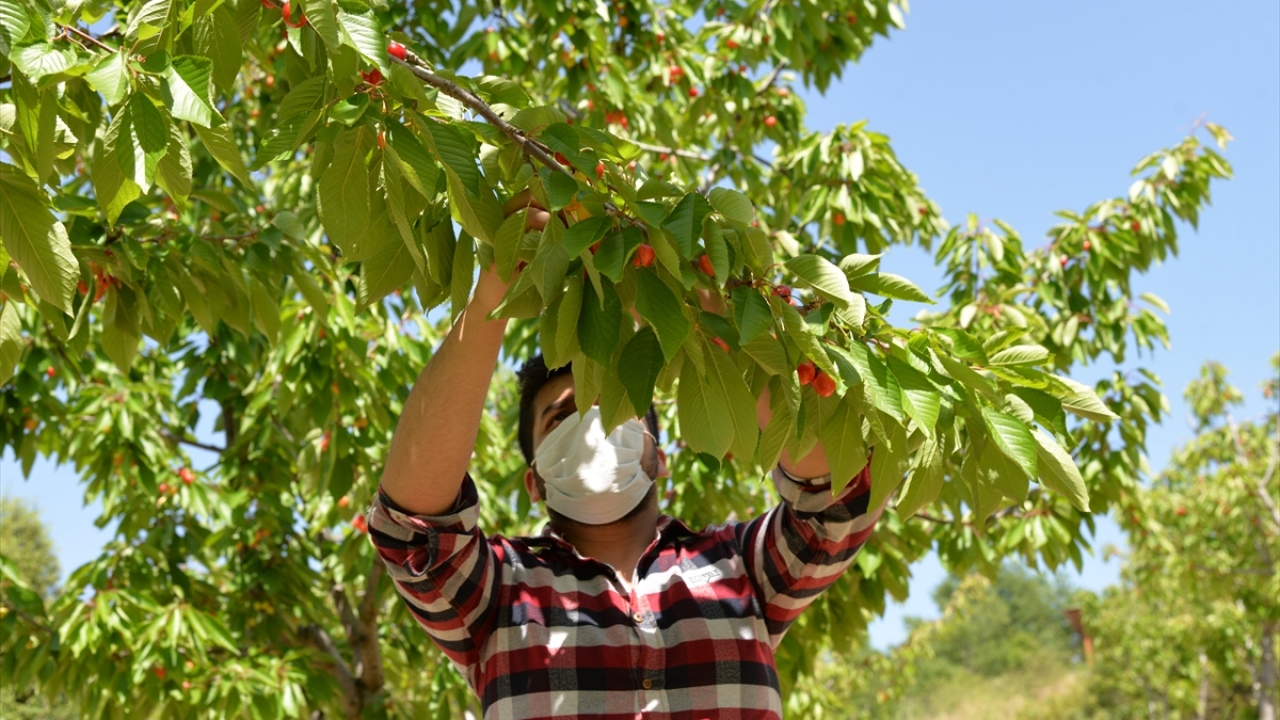 Yazgan, bir süre öncesine kadar yeni tip koronavirüs (Covid-19) salgını nedeniyle tüm dünyada belirsizlikler yaşandığını, tüketici davranışlarının nasıl olacağıyla ilgili bilinmezlikler bulunduğunu söyledi.