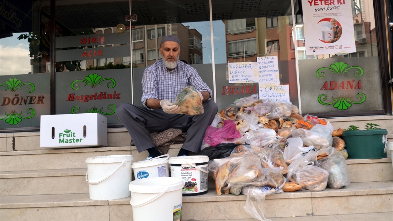 Kentte lokanta işleten 48 yaşındaki Ateş, yaklaşık 3 ay önce hayvanlara yiyecek sağlamak amacıyla çöpe atılan ekmekleri toplamaya başladı.