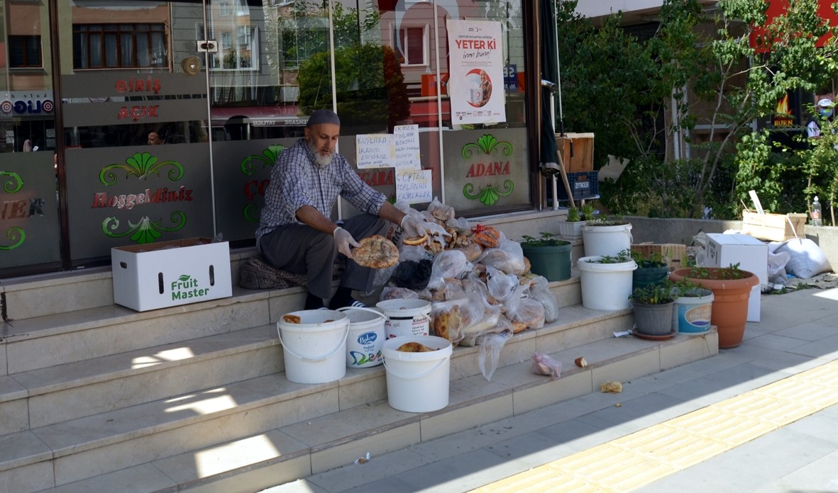 Bu süreçte hayvanlarla arasında bir bağ oluştuğunu dile getiren Ateş, herkesin sokak hayvanlarına, kuşlara ve doğadaki diğer canlılara önem vermesi gerektiğinin altını çizdi.