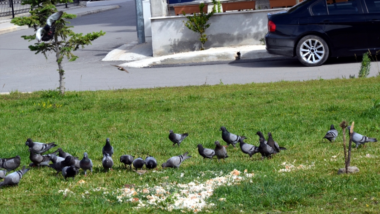 Sabah namazını kıldıktan sonra otomobiliyle, yaşadığı Şeyhcui Mahallesi`ndeki çöp konteynerlerini dolaşan Ateş, çöpe atılan ekmekleri aracının bagajına doldurup iş yerine götürüyor.