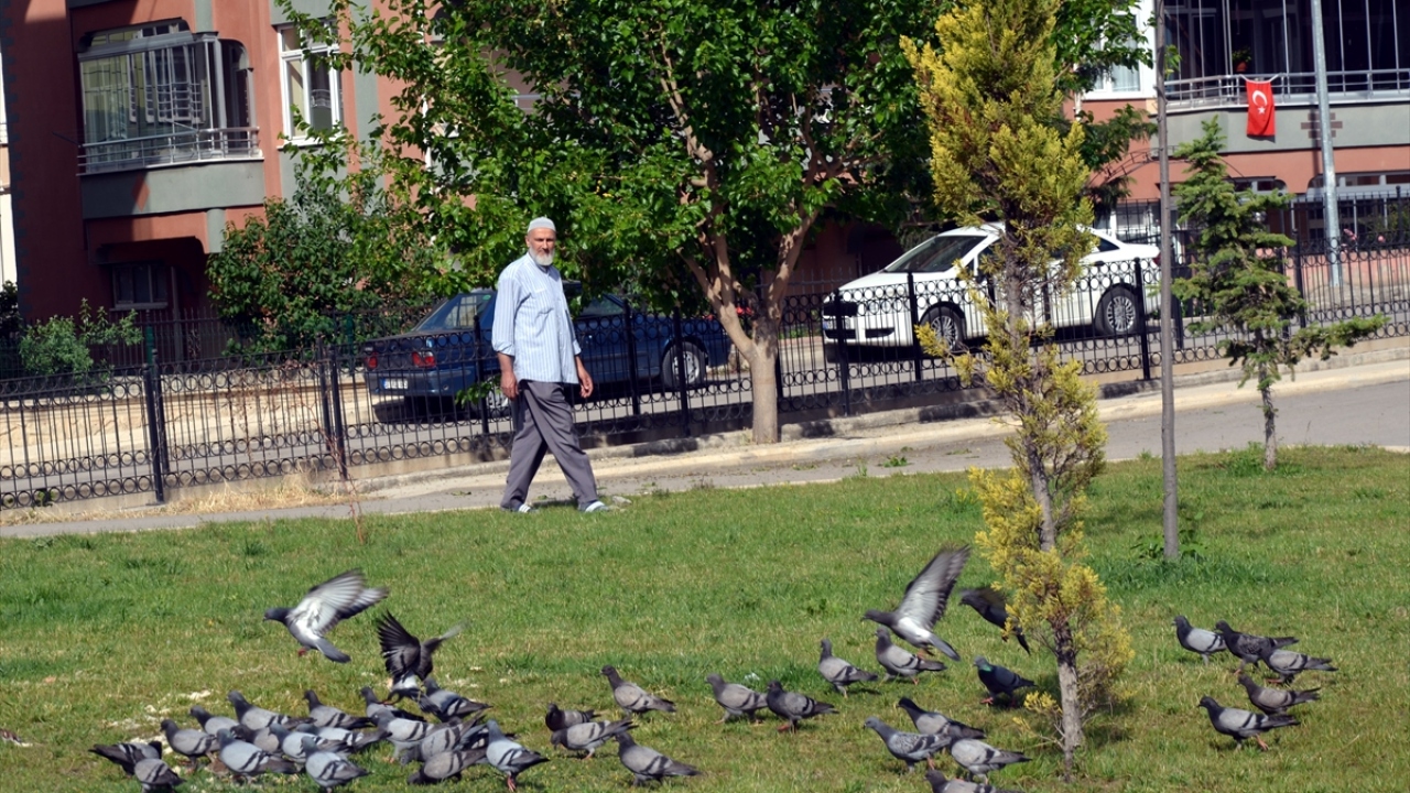 Küflü ekmeklerle kullanılabilecek durumda olanları ayıran Ateş, daha sonra ekmekleri ıslatıp ufalayarak yem haline getiriyor, ardından kentin çeşitli yerlerinde yeşil alanlara dökerek başta kuşlar olmak üzere hayvanların beslenmesini sağlıyor.