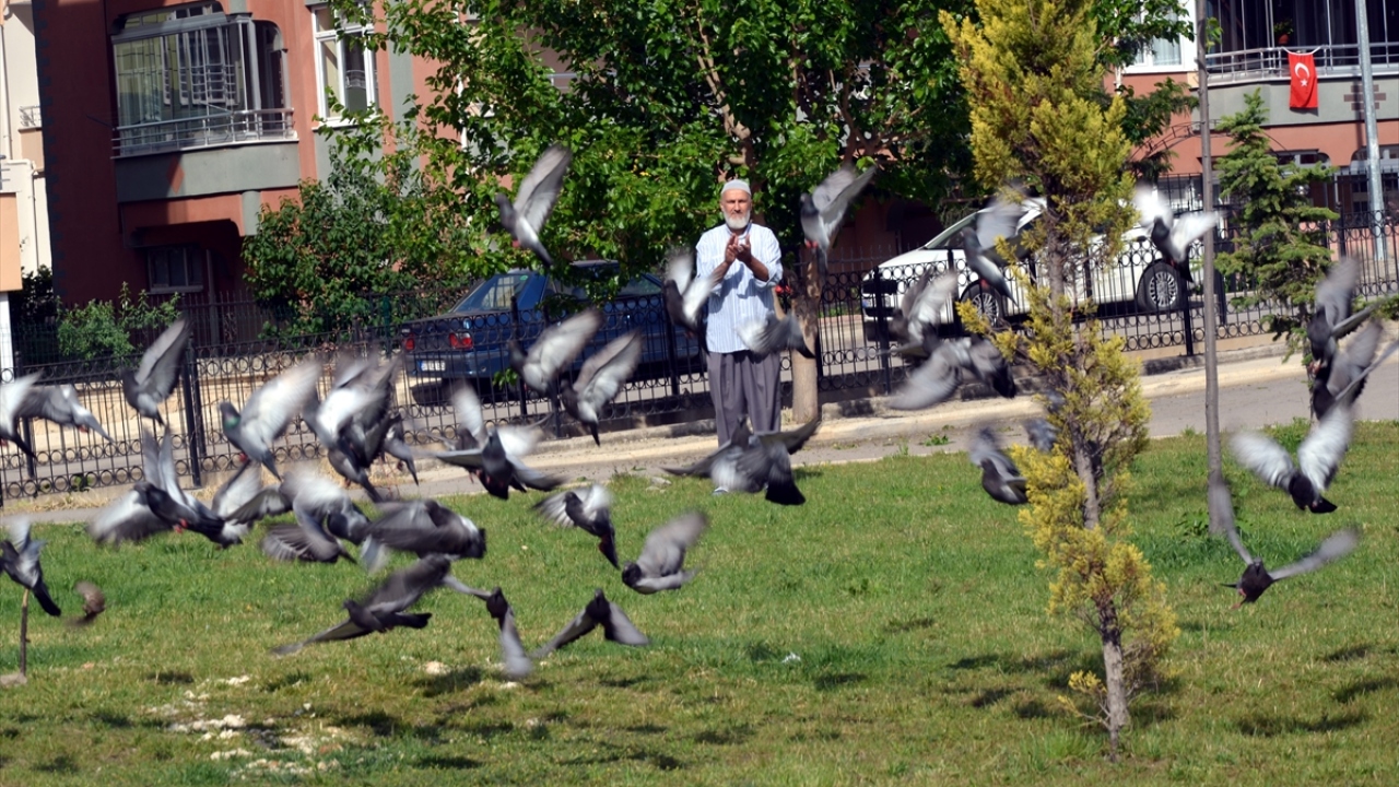 Mahmut Ateş, yaptığı açıklamada, yeni tip koronavirüs sürecinde ne yapabileceğini düşünürken çöplerdeki ekmeklerin gözüne çarptığını söyledi.