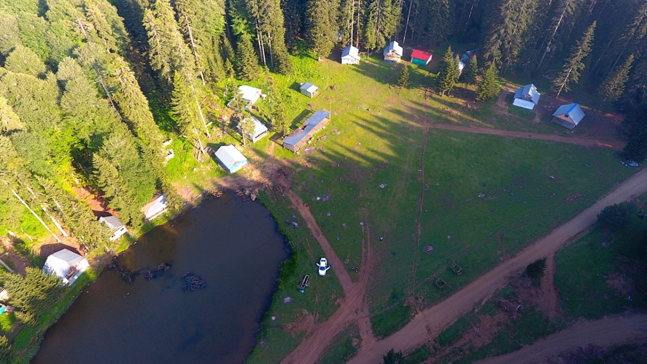 Genelde nisan ayında başlayan yaylaya göç, bu yıl koronavirüs tedbirleri doğrultusunda yaklaşık iki ay gecikti.