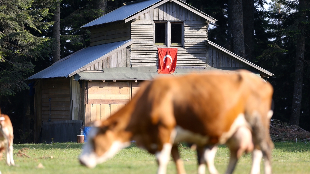 Baharın gelmesini dört gözle bekleriz"