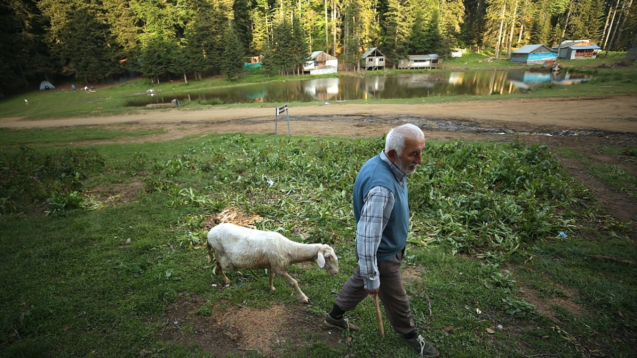 Yaylacı Musa Ay (55), yaptığı açıklamada, yaylaya kavuşmanın mutluluğunu yaşadıklarını söyledi.