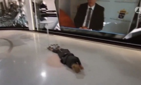 İsveç'te televizyon sunucusu canlı yayında bayıldı