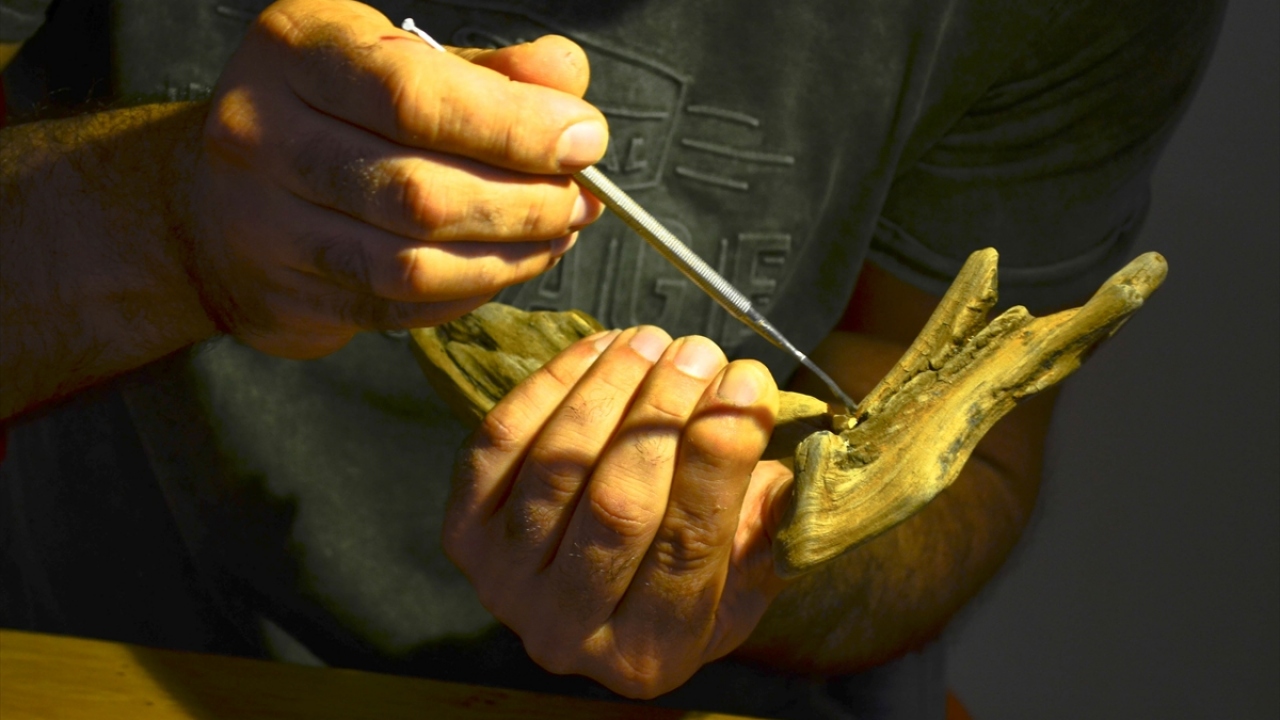 Aynı tür ve renkteki ağaçların birleştirilmesi için iklimin yanı sıra deniz yapısının da iyi bilinmesi gerektiğine işaret eden Özipek, eserleri "driftwood" tarzıyla oluşturduğunu kaydetti.